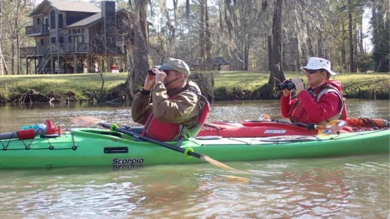 Houston: Luce Bayou Kayaking Tour - Houston: Luce Bayou Kayaking Tour – A Detailed Review