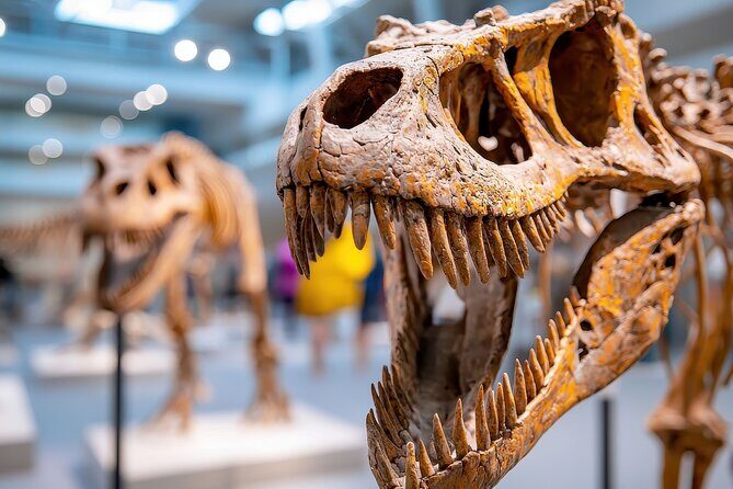 Houston Museum of Natural Science Private Tour with Tickets - FAQ