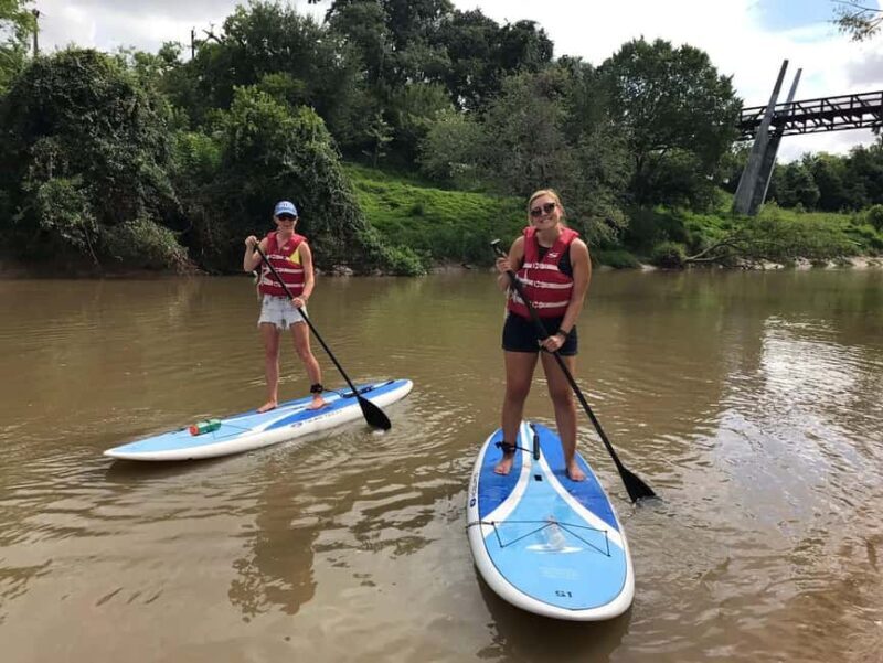 Houston: Paddle Board Tour - The Scenic Setting and Wildlife