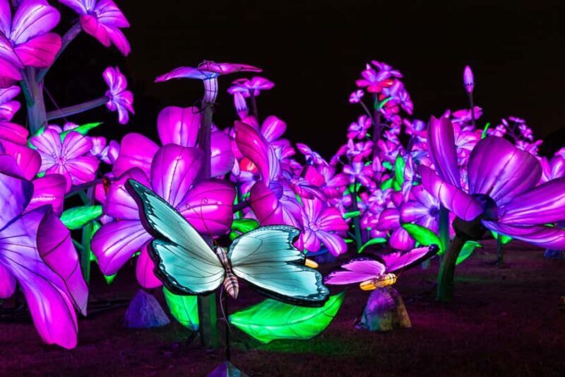 Houston: Radiant Nature Winter Light Show Tickets - The Experience in Detail
