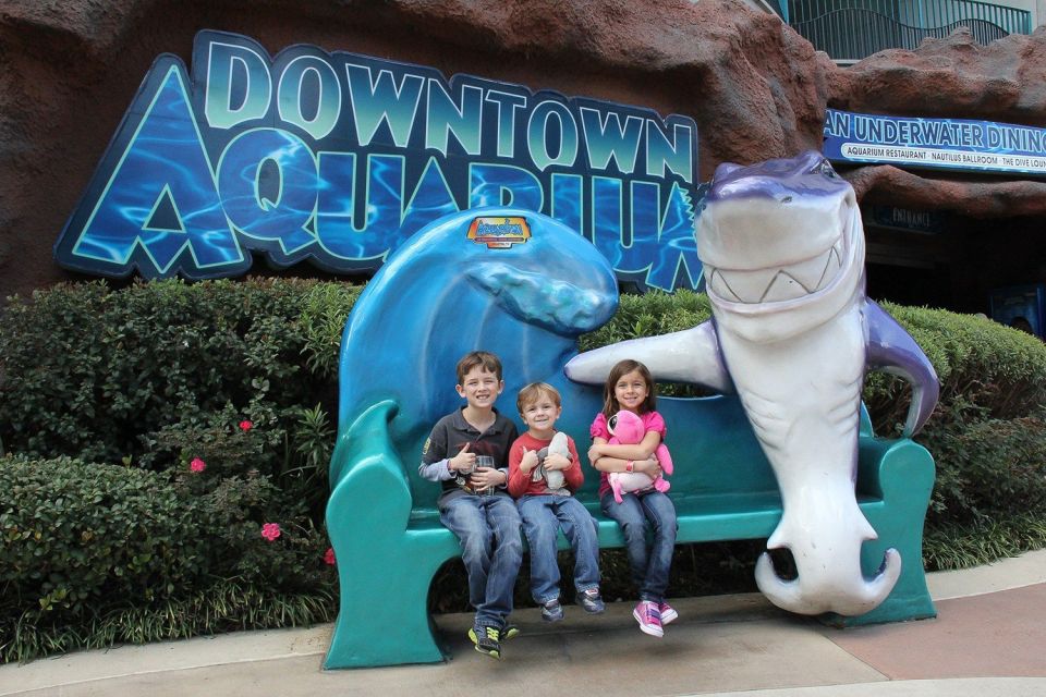 Houston Tour and Aquarium Ticket - Considerations for Guests