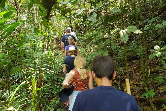 Howler Monkey Tour - Filandia Views And Gastronomy - Tour Duration and Accessibility