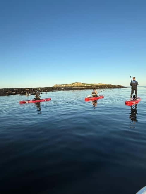 Howth: Paddleboarding Lesson in Howth Harbour - Who Will Love This Experience?
