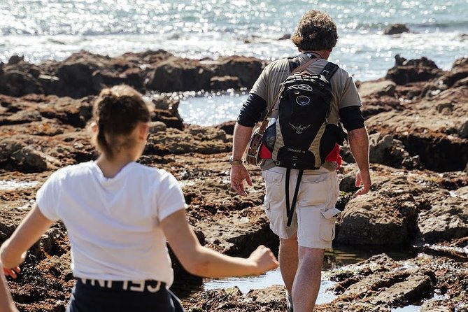 Howth Peninsula Hiking Tour Overlooking Dublin Bay - Tour Itinerary