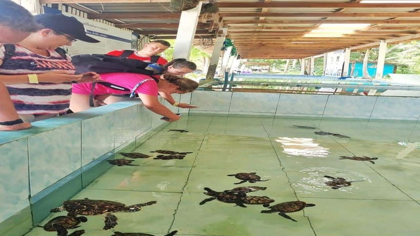 HUA HIN : Koh Talu Snorkeling With Lunch (Private 4 Pax Up) - Tour Overview and Pricing