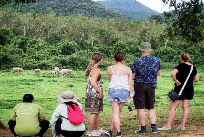 HUA HIN : Kui Buri Wild Elephant Watching (Private 4 Pax Up) - Customer Ratings and Reviews