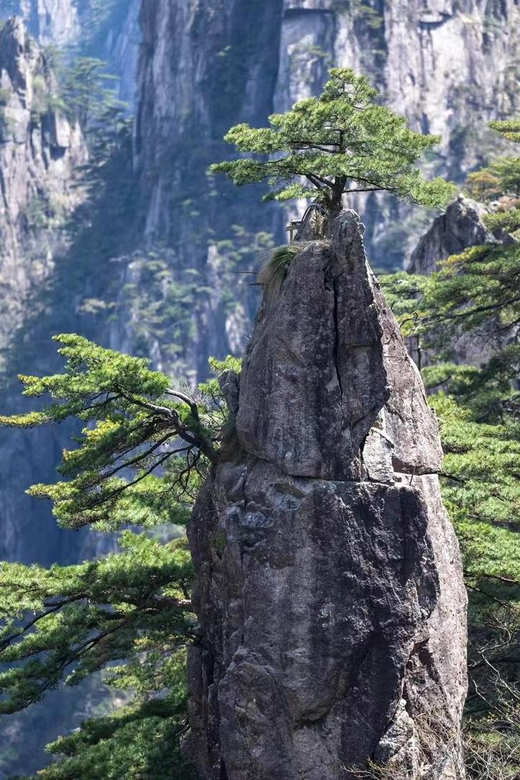 Huangshan: Mountain Top Day Trip With Cable Car and Pickup - Good To Know