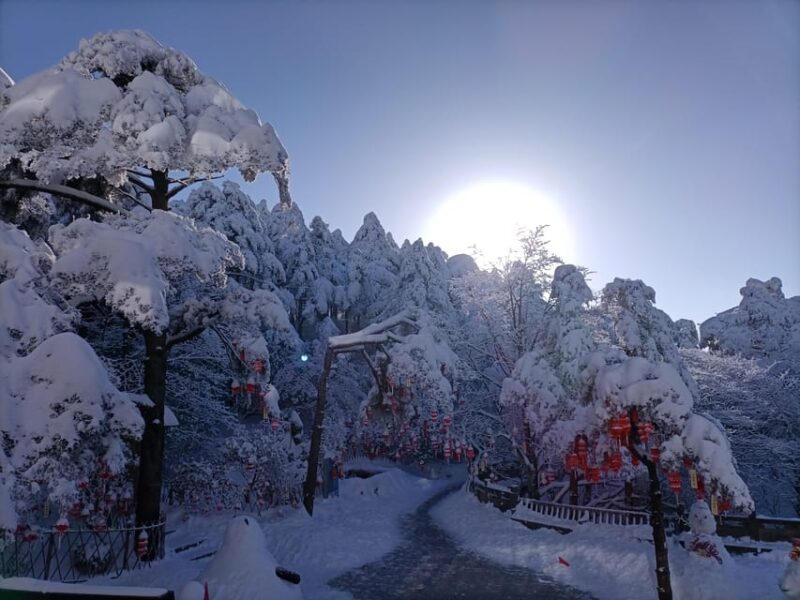 Huangshan: Mountain Top Day Trip With Cable Car and Pickup - Itinerary and Experience