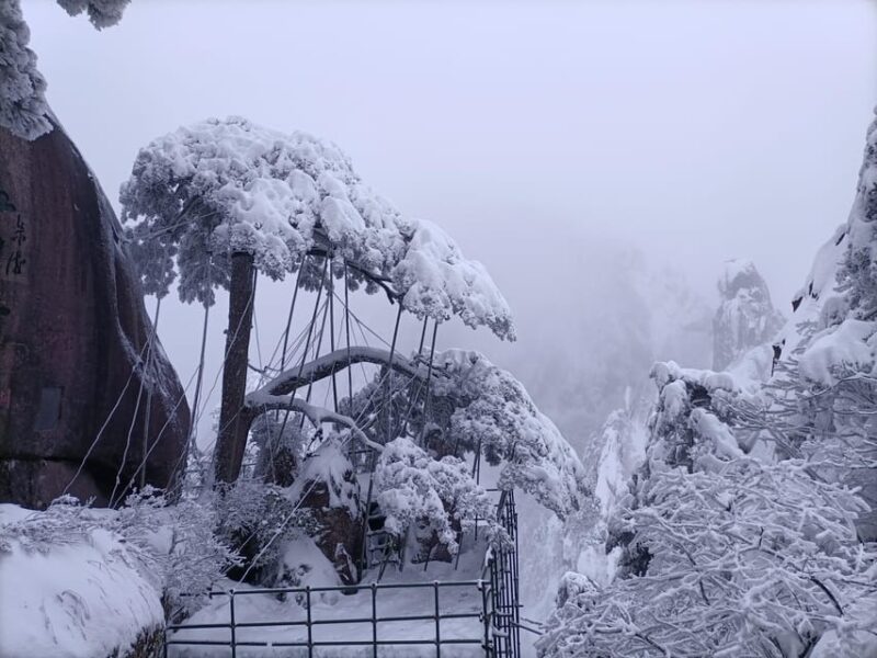 Huangshan: Mountain Top Day Trip With Cable Car and Pickup - Important Information and Restrictions