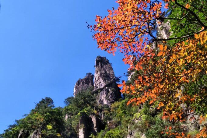 Huangshan: Mountain Top Day Trip With Cable Car and Pickup - Recommended Attire and Belongings