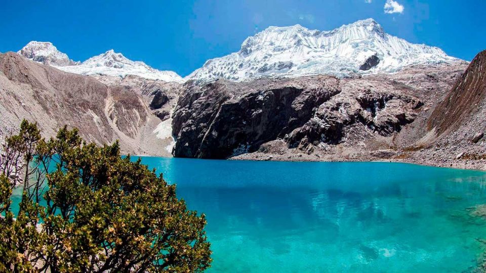 Huaraz | Lagoons and Mountains 3D | Entrance Fees and Lunch - Puya Raimondi Forest