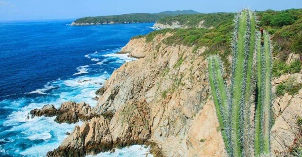 Huatulco: 5-Bay Exclusive Premium Panga Experience - Snorkeling in Crystal-Clear Waters