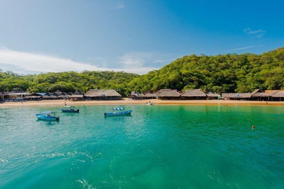 Huatulco: 5-Bay Exclusive Premium Panga Experience - Important Considerations and Recommendations
