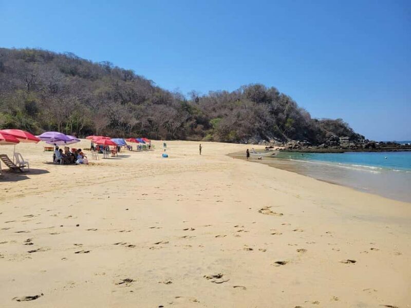 Huatulco: 7 Bays Boat Tour with Snorkeling and Lunch - Key Points