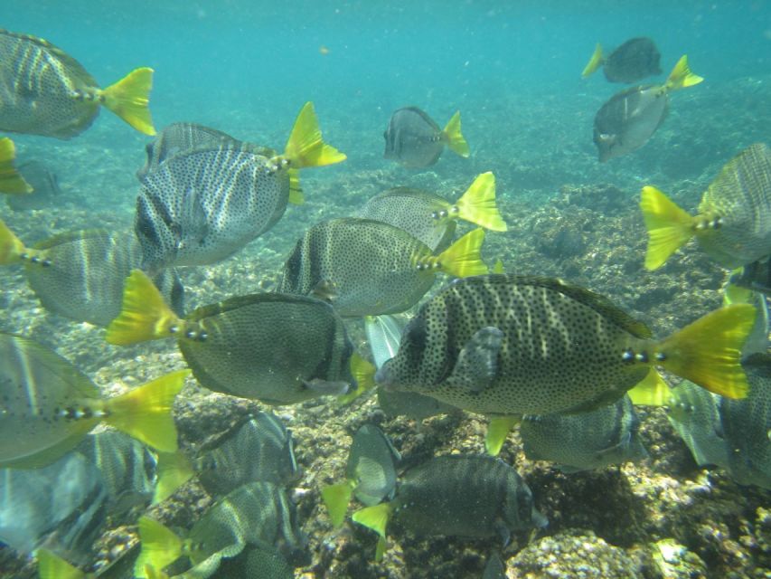 Huatulco Bay: Bays Boat Tour & Snorkeling Experience - Frequently Asked Questions