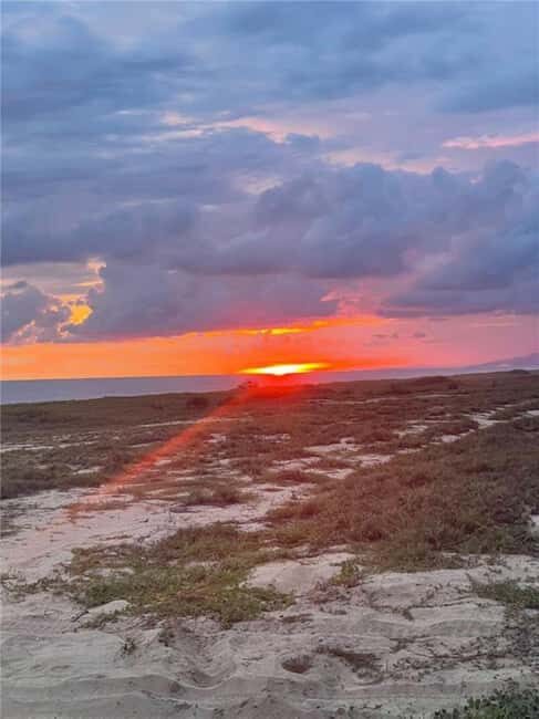 Huatulco: Bio and Liberation Tour - Key Points