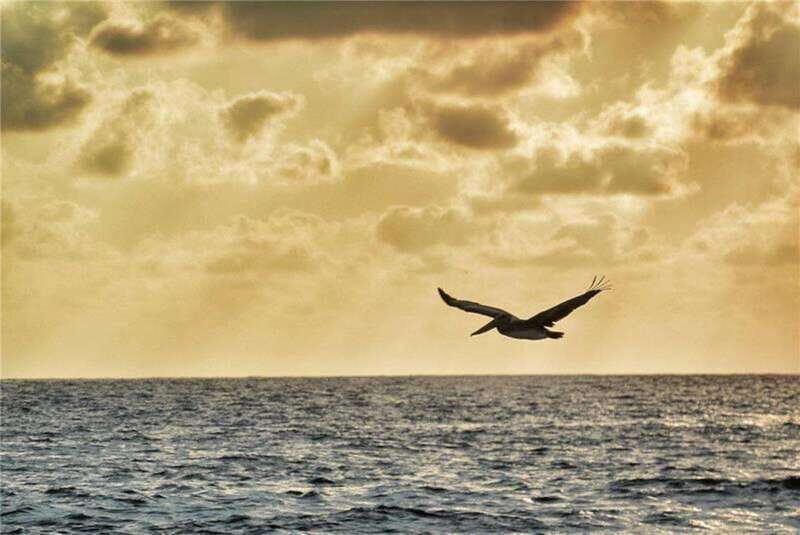 Huatulco: City Tour and Viewpoints - Key Points