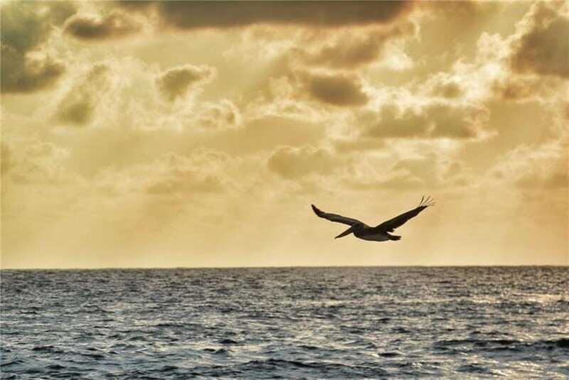 Huatulco: City Tour and Viewpoints - The Sum Up