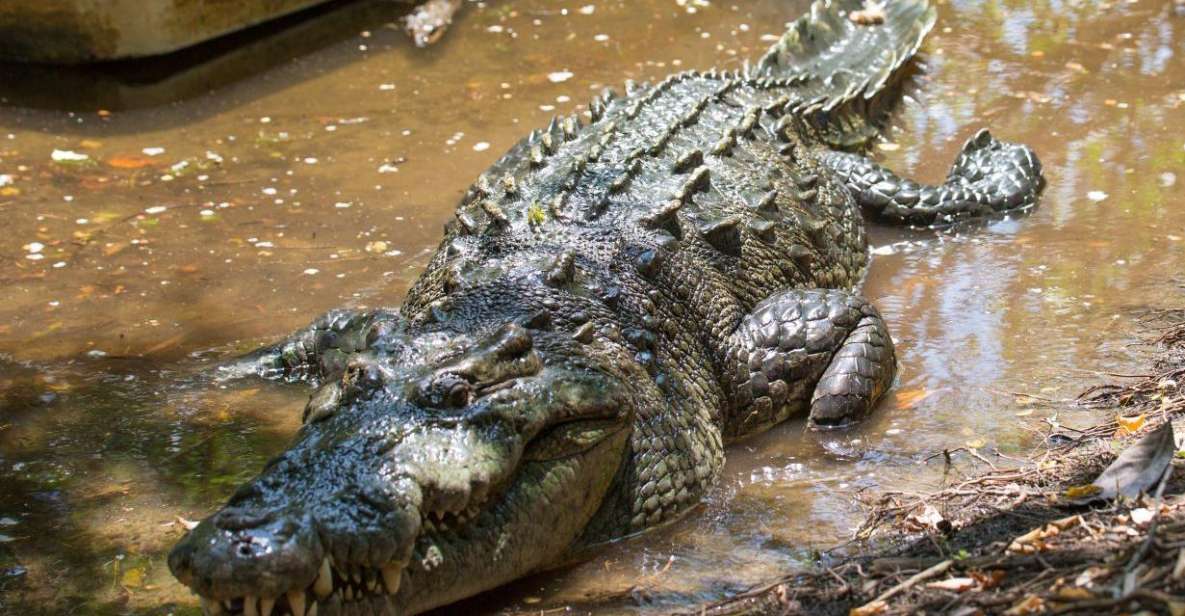 Huatulco: Crocodile & Turtle Ecotour - Tour Restrictions
