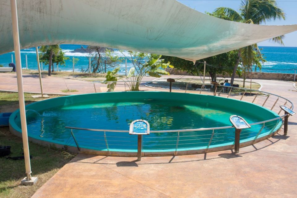 Huatulco: Crocodile & Turtle Ecotour - Frequently Asked Questions