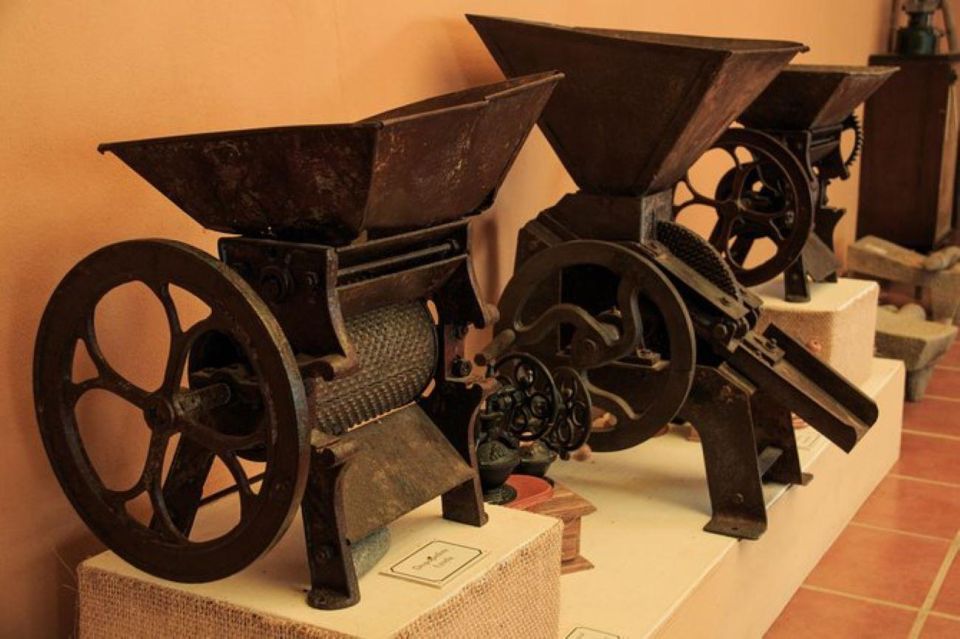 Huatulco: Local Coffee Tasting and Cultural Experience - Discover Significant Cultural Artifacts