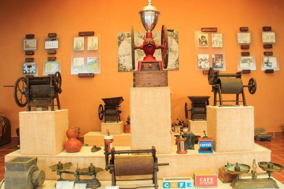 Huatulco: Local Coffee Tasting and Cultural Experience - Immerse in Local Community Life