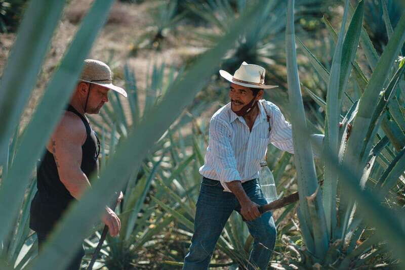 Huatulco: Mezcal and Gastronomic Tour - Key Points