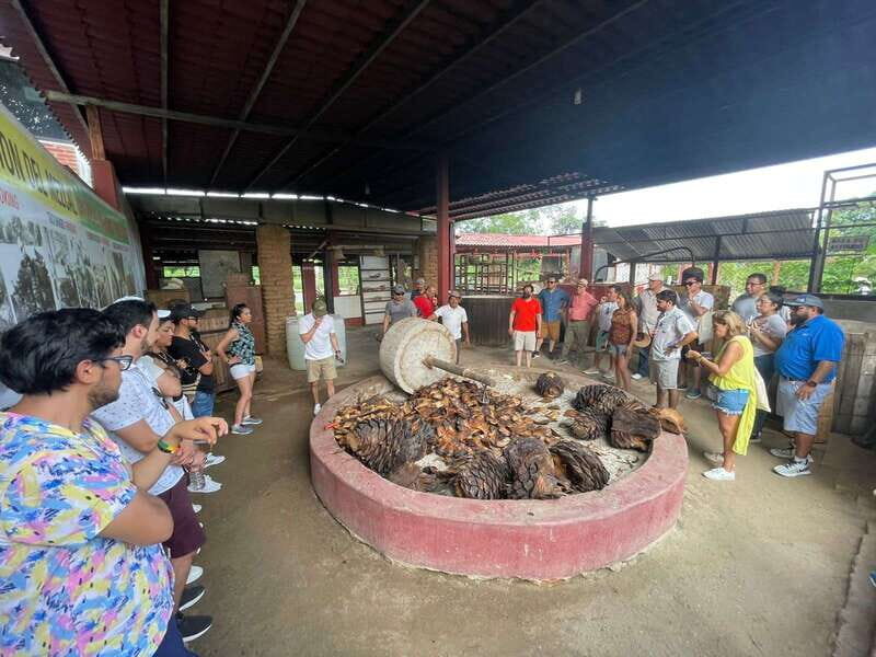 Huatulco: Mezcal and Gastronomic Tour - Practical Tips for Your Visit