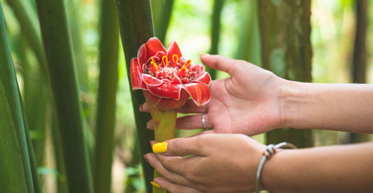 Huatulco: Nature Park With Fruit Tasting & Optional Zipline - Cooling Off in Magdalena River
