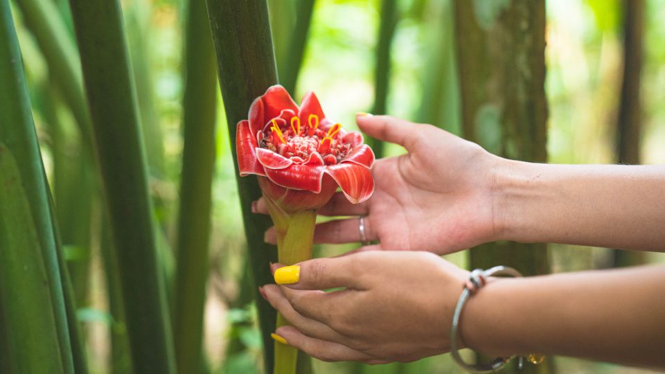 Huatulco: Nature Park With Fruit Tasting & Optional Zipline - Duration and Language Support