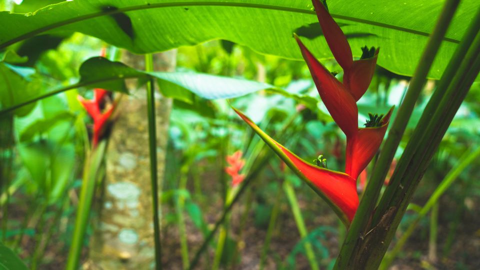 Huatulco: Nature Park With Fruit Tasting & Optional Zipline - Frequently Asked Questions