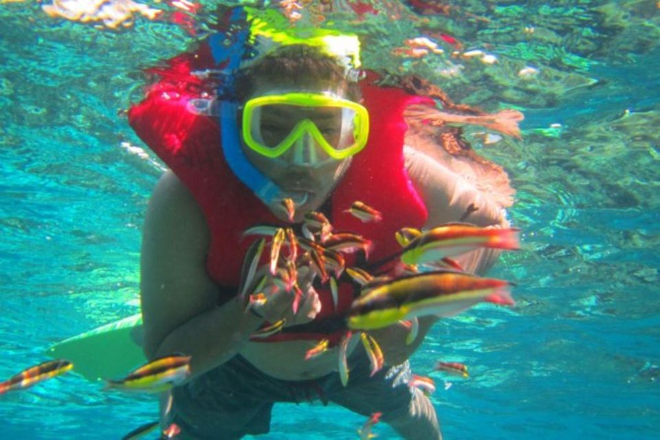Huatulco: Premium Family Snorkeling Experience - Vibrant Corals and Fish