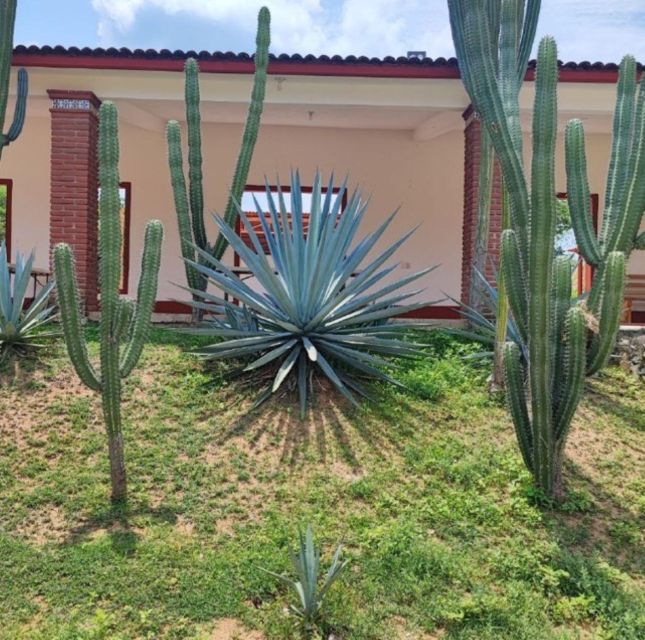 Huatulco: Private Mezcal Factory Experience - Exploring Santa Maria Huatulco