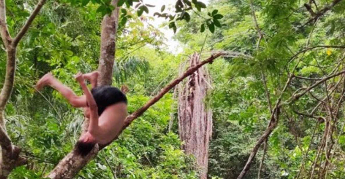 Huatulco: Private Tour of Magical Waterfalls of Copalitilla - Itinerary Overview