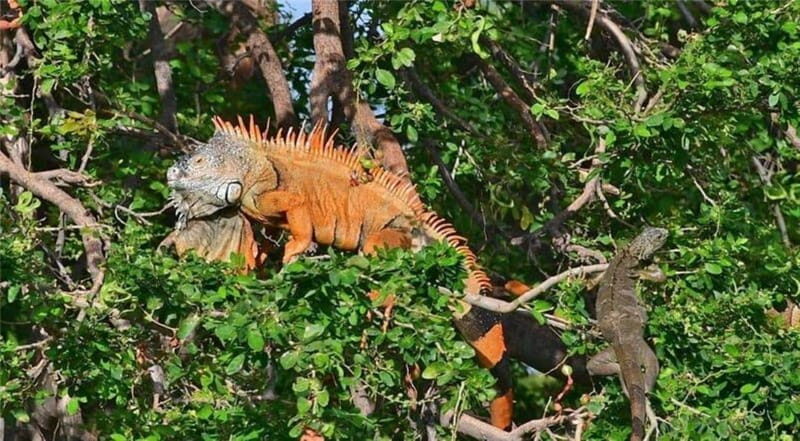 Huatulco: Puerto Angel, Zipolite, and Mazunte Day Trip - Who Should Consider This Tour?