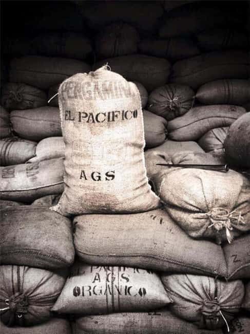 Huatulco: Santa Maria and Pluma Hidalgo Coffee Tour - Deep Dive into the Itinerary