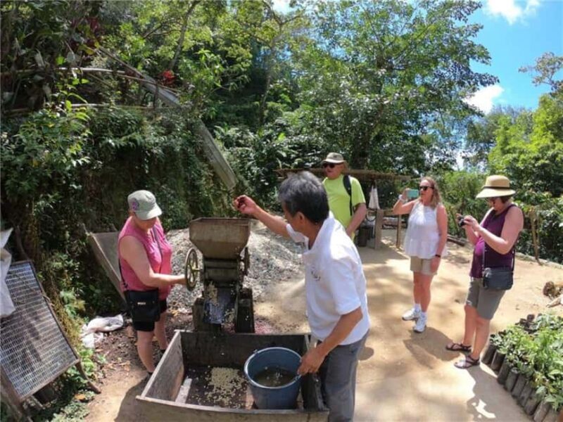 Huatulco: Santa Maria and Pluma Hidalgo Coffee Tour - Practical Tips for Travelers