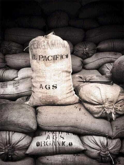 Huatulco: Santa Maria and Pluma Hidalgo Coffee Tour - The Sum Up