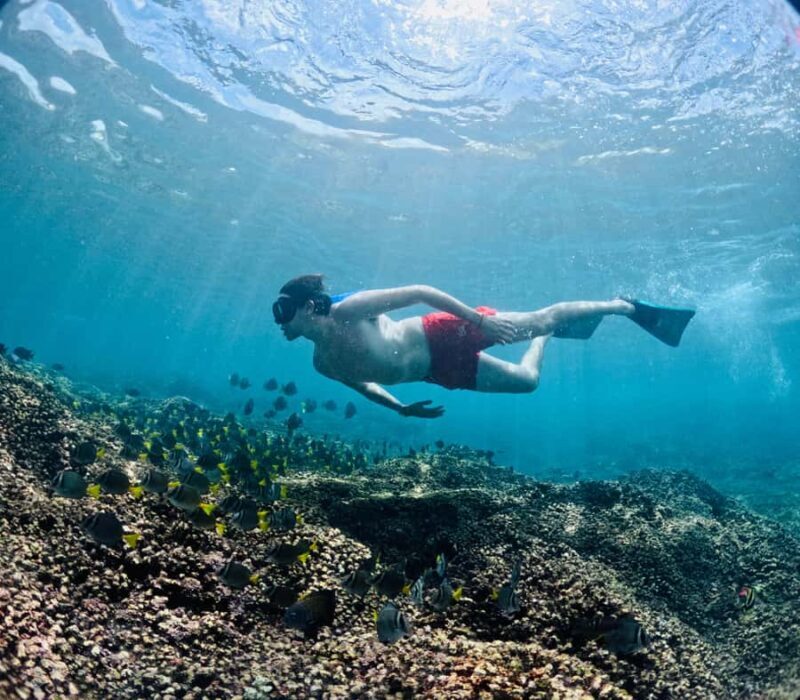 Huatulco: Snorkel at sunrise at La Entrega beach - Why This Tour Stands Out