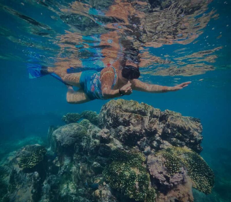 Huatulco: Snorkel at sunrise at La Entrega beach - What’s the Value?