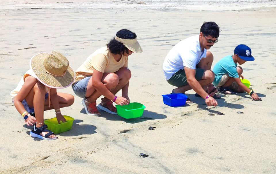 Huatulco: Turtle Release, Horseback Riding, and Bioluminescence - Key Points