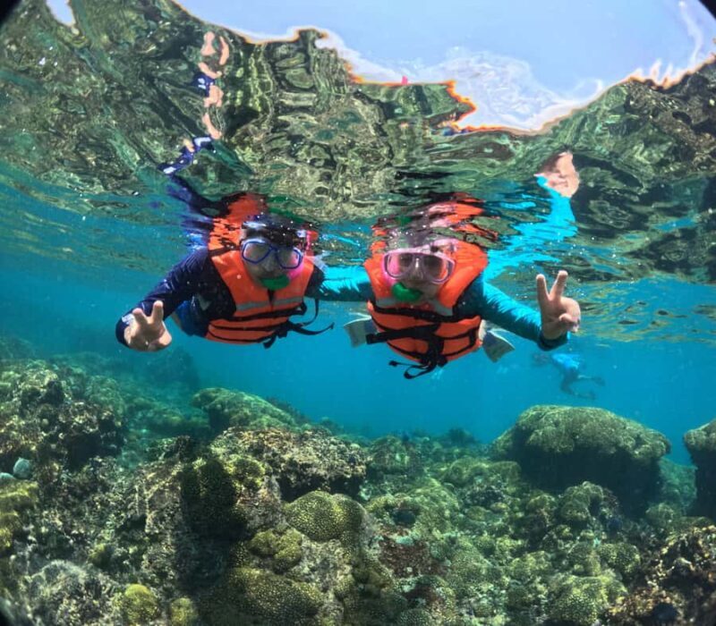 Huatulco: Viewpoints and snorkeling at La Entrega beach - Who Will Love This Tour?