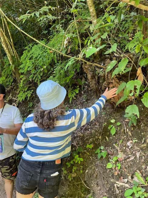 Huatulco: Waterfalls Tour with Buffet Lunch - Key Points