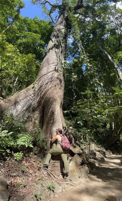 Huatulco: Waterfalls Tour with Buffet Lunch - A Detailed Look at the Waterfalls Tour