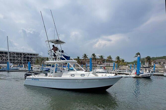 Huatulco Whale & Dolphin Adventures - Frequently Asked Questions