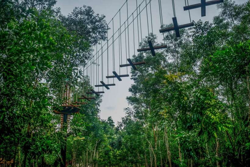 Hue: Full-day Nature's Bliss From Hot Springs To Zip Line - Navigating the High Wire Adventure