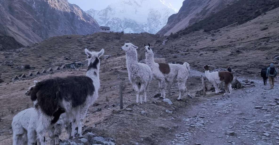 Humantay Lake Tour and Machu Picchu Tour by Train - Humantay Lake Excursion