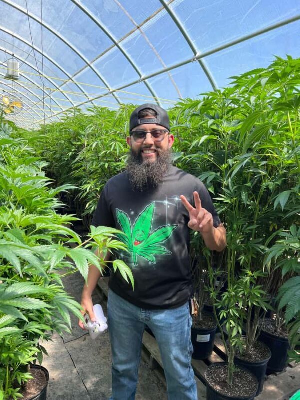 Humboldt County: Cannabis Farm Tour with Dispensary Visit - Introducing the Humboldt County Cannabis Farm Tour with Dispensary Visit