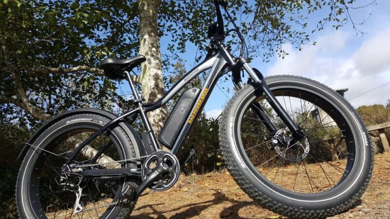 Humboldt: Electric Bike Rentals (4-Hour or Full Day options) - An In-Depth Look at Humboldt Electric Bike Rentals