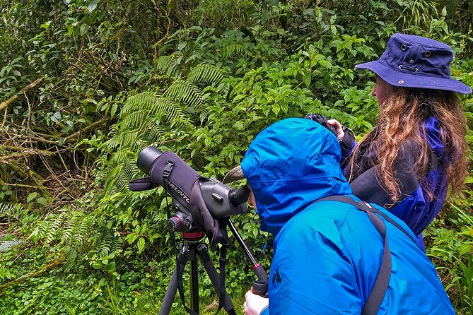 HUMMINGBIRD EXPEDITION - Searching for the Cloud Forest Jewels. - Tour Inclusions and Benefits